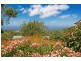 194 Slaughterhouse Road, Ulladulla NSW 2539