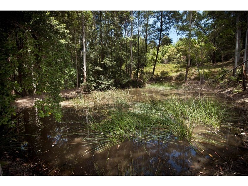 247 Old Highway, Bawley Point NSW 2539