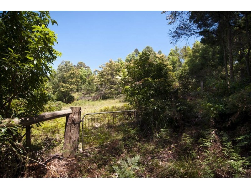 247 Old Highway, Bawley Point NSW 2539