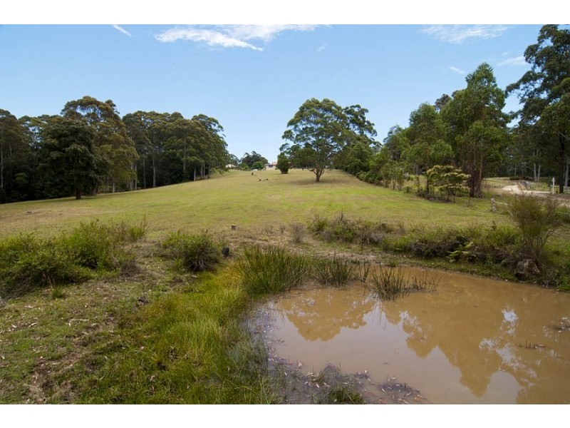 247 Old Highway, Bawley Point NSW 2539
