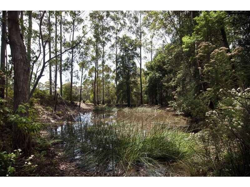 247 Old Highway, Bawley Point NSW 2539