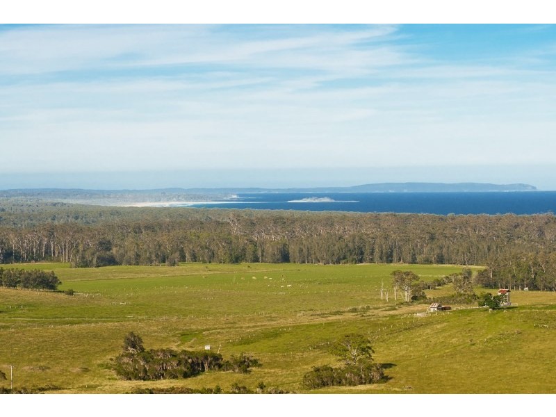 32 Eyrie Bowrie Drive, Milton NSW 2538