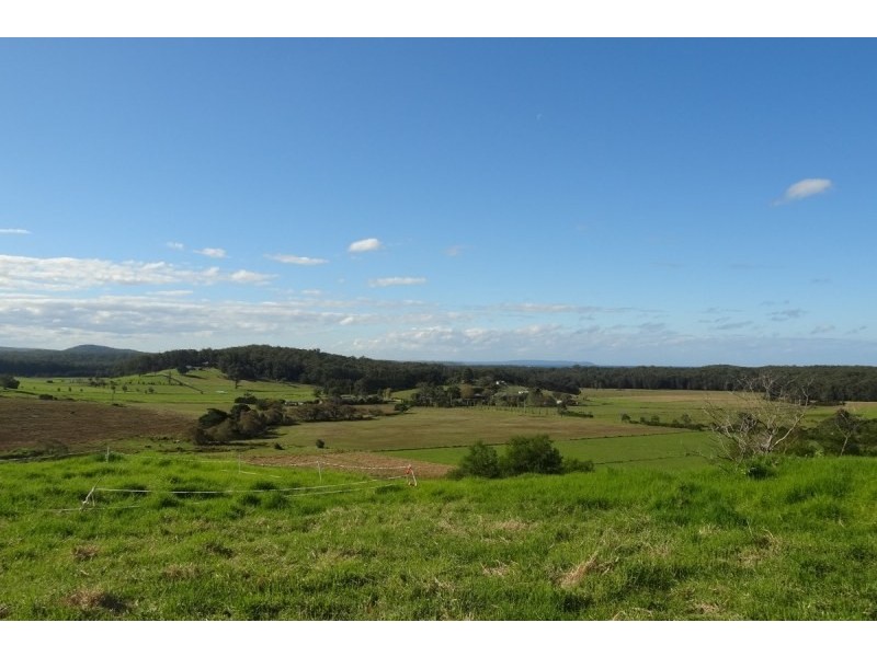 3 Eyrie Bowrie Drive, Milton NSW 2538