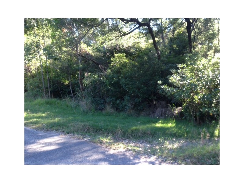 3 Wonnawong Place, Bawley Point NSW 2539