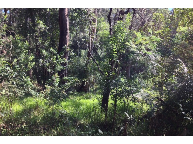 4 Wallaroy Drive, Burrill Lake NSW 2539