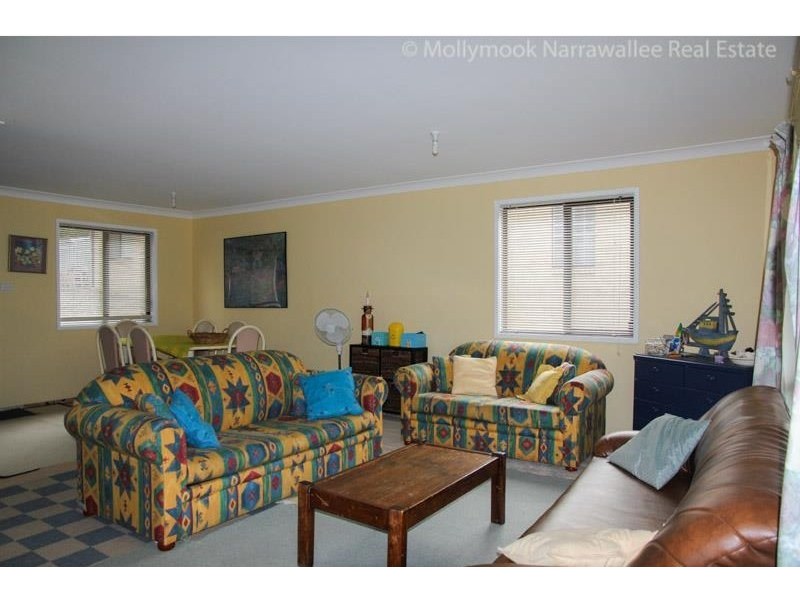 117 Leo Drive, Narrawallee NSW 2539