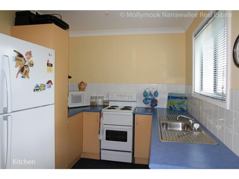 117 Leo Drive, Narrawallee NSW 2539