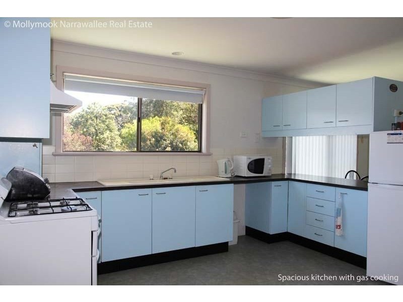 21 Bushland Avenue, Mollymook NSW 2539