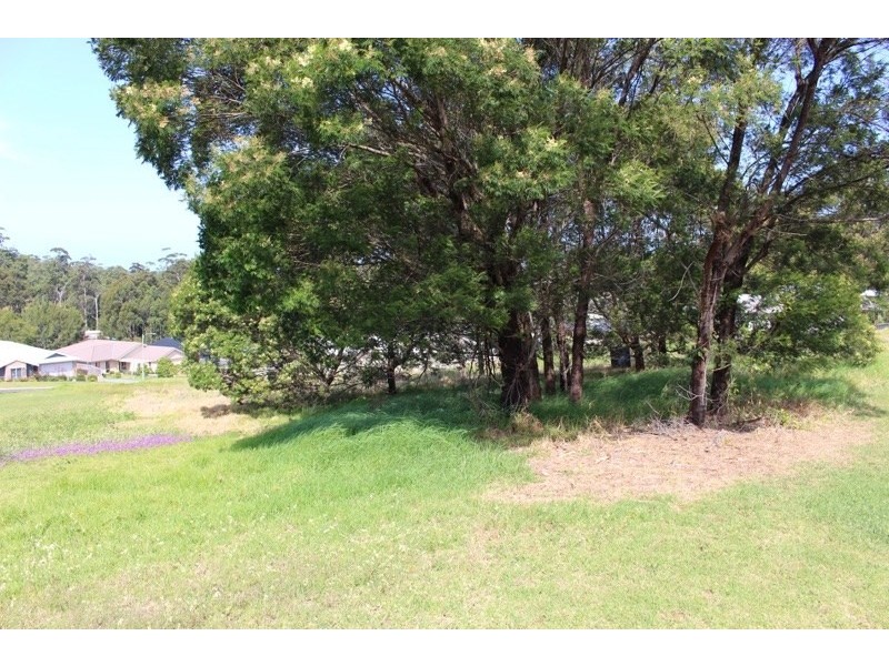 25 Springfield Drive, Mollymook NSW 2539