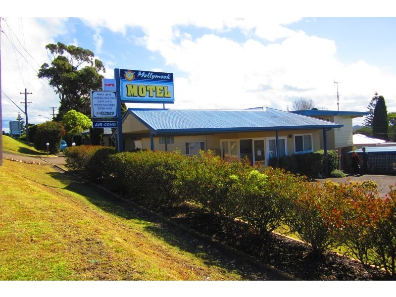 2-6 Buchan Street, Mollymook NSW 2539