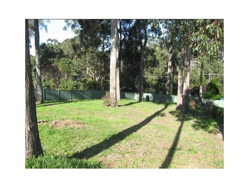 11 Bushland Avenue, Mollymook Beach NSW 2539