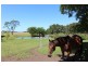77 Little Forest Road, Milton NSW 2538