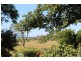 77 Little Forest Road, Milton NSW 2538