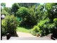77 Little Forest Road, Milton NSW 2538