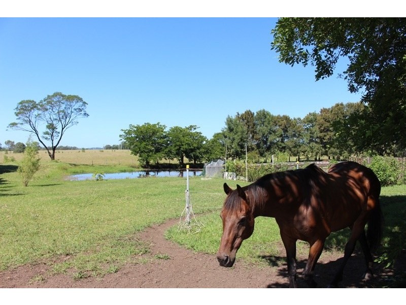 77 Little Forest Road, Milton NSW 2538