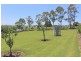 6 Little Forest Road, Little Forest NSW 2538
