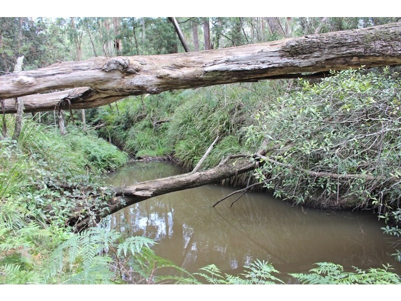 200B Mimosa Park Road, Milton NSW 2538