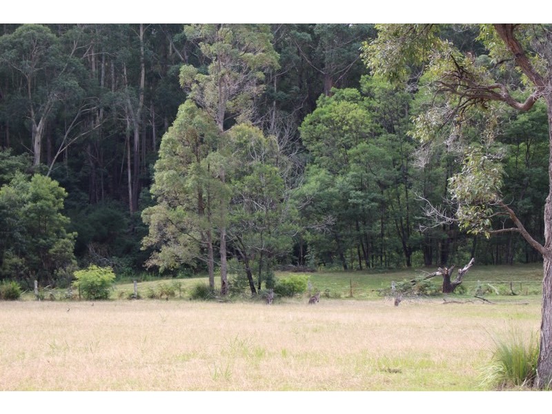 200B Mimosa Park Road, Milton NSW 2538