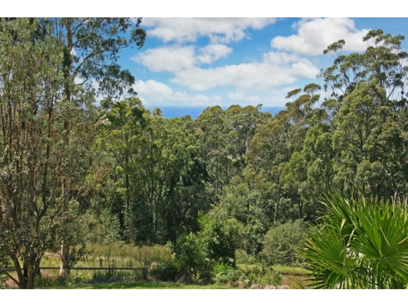 321 Woodburn Road, Milton NSW 2538