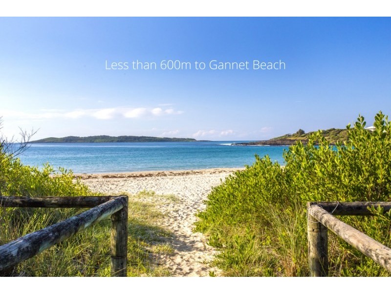 2 Rosemary Avenue, Bawley Point NSW 2539