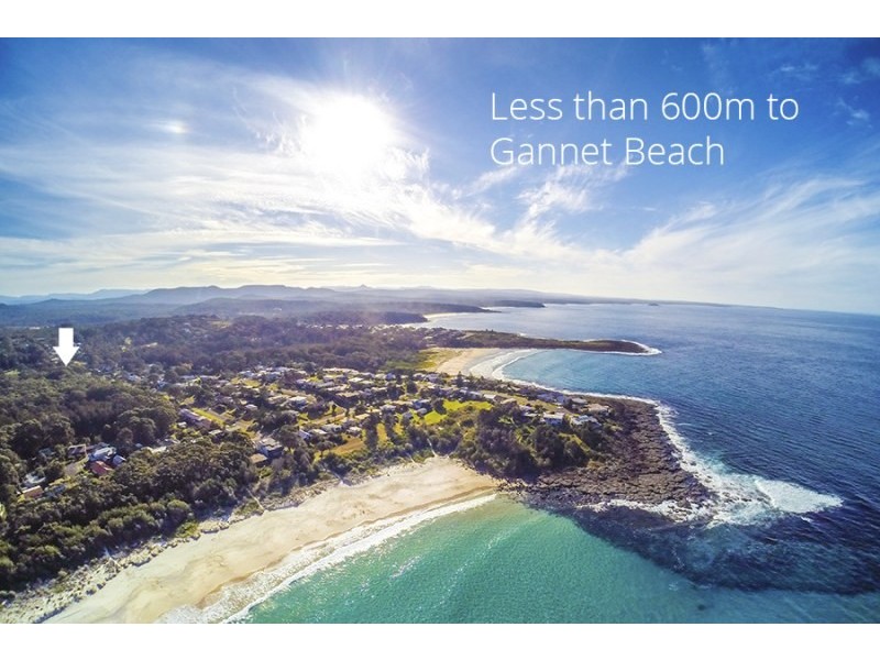 2 Rosemary Avenue, Bawley Point NSW 2539