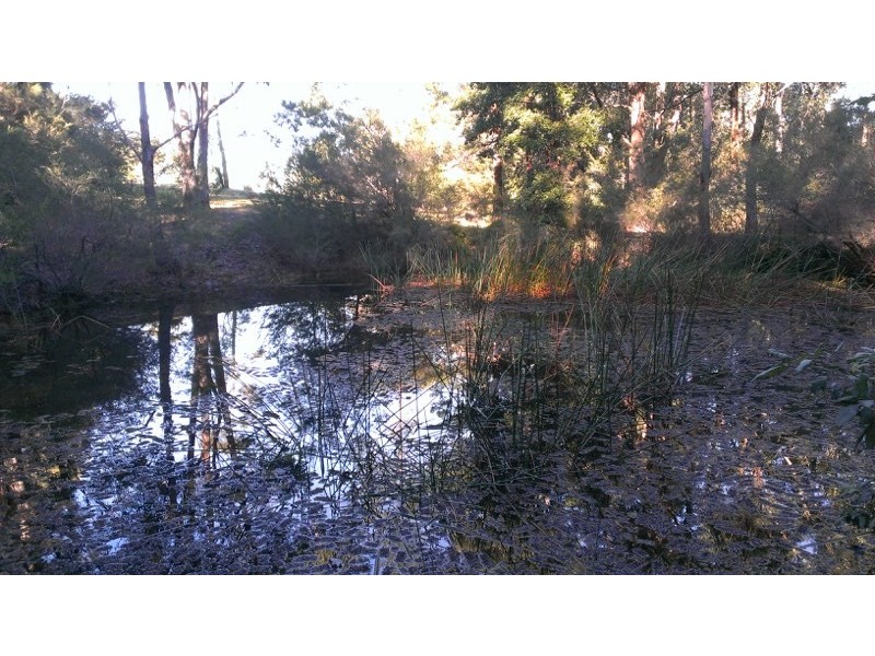 58B Porters Creek Road, Yatte Yattah NSW 2539