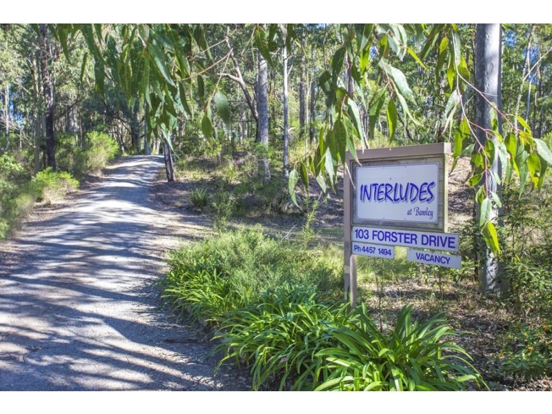 103 Forster Drive, Bawley Point NSW 2539