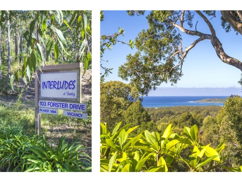 103 Forster Drive, Bawley Point NSW 2539
