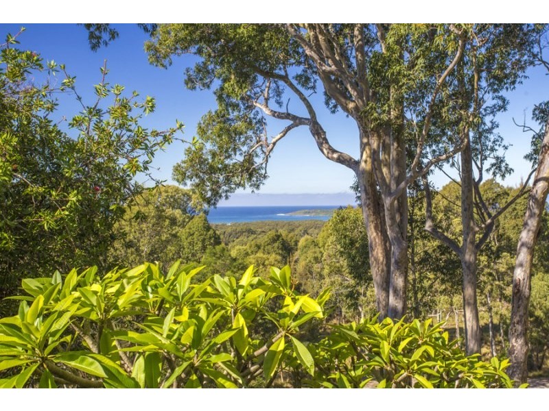103 Forster Drive, Bawley Point NSW 2539
