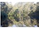 176 Bawley Point Road, Termeil NSW 2539