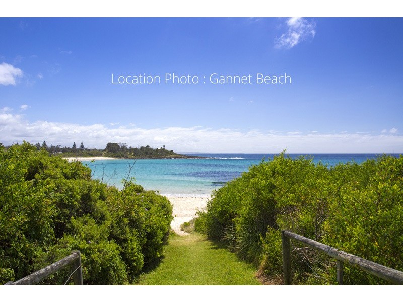 135 Malibu Drive, Bawley Point NSW 2539