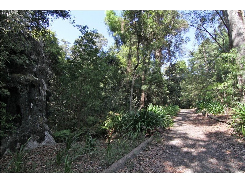 19 Brook Hollow Close, Milton NSW 2538