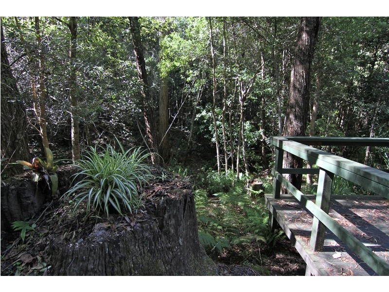 19 Brook Hollow Close, Milton NSW 2538