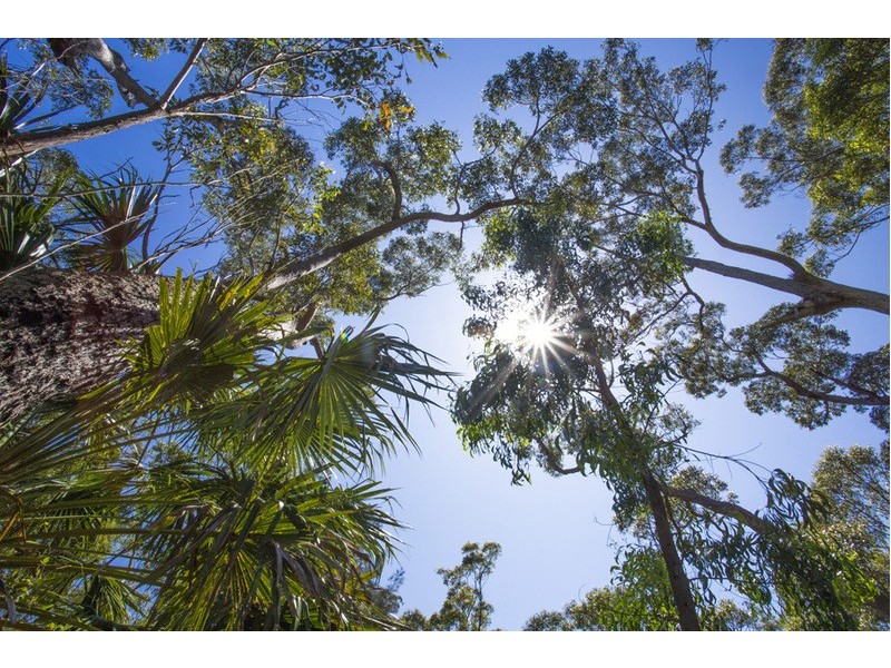 60 Macleay Street, Narrawallee NSW 2539