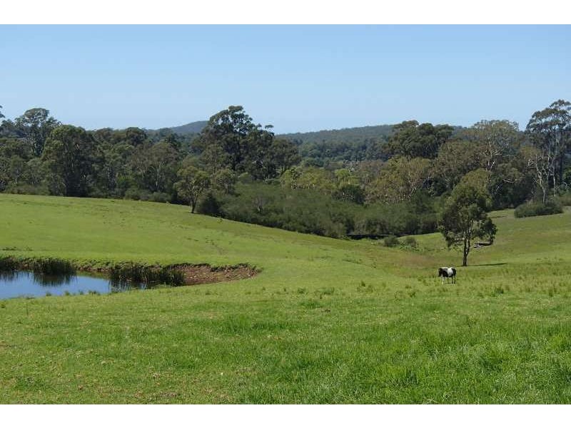 172A Pointer Road, Yatte Yattah NSW 2539