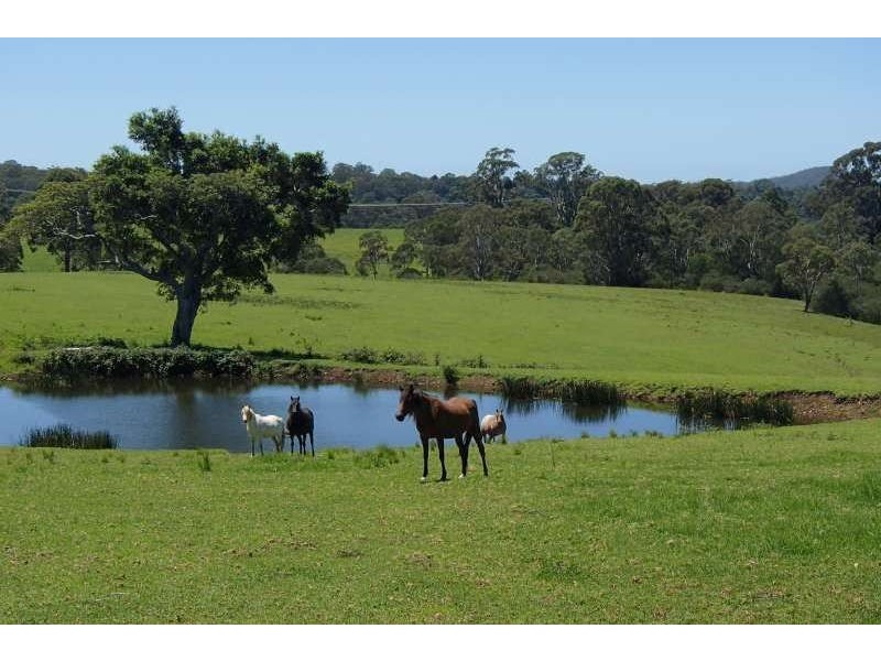 172A Pointer Road, Yatte Yattah NSW 2539