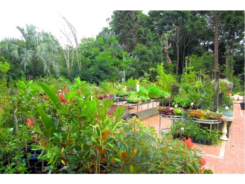 5 Cashman Road, Ulladulla NSW 2539