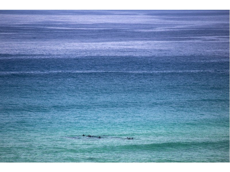 23 Rennies Beach Close, Ulladulla NSW 2539