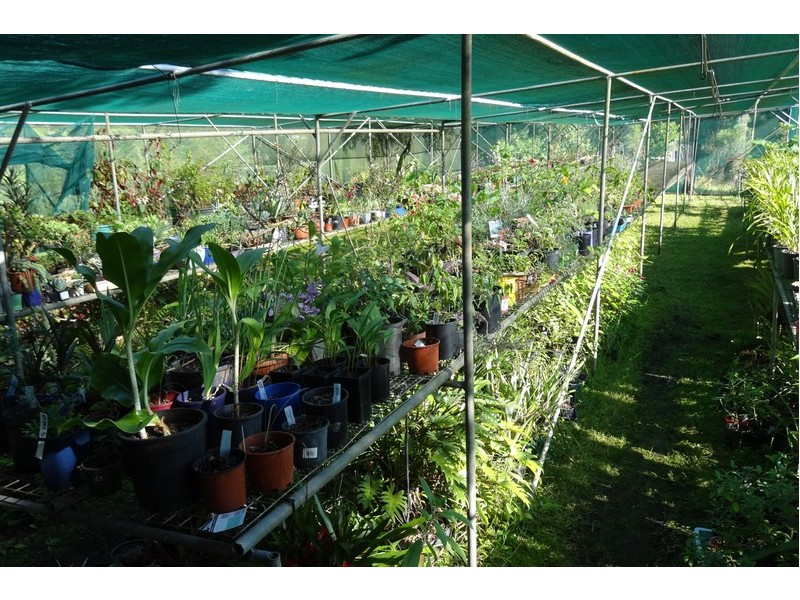 250  Pointer Road, Yatte Yattah NSW 2539