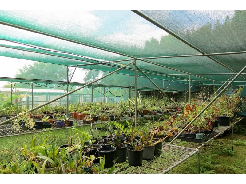 250  Pointer Road, Yatte Yattah NSW 2539