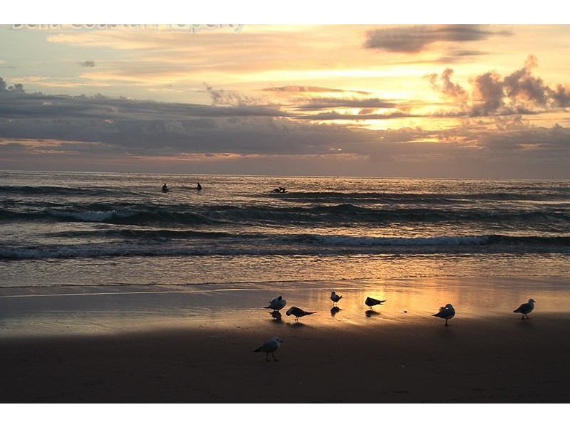 8 The Court, Mollymook NSW 2539