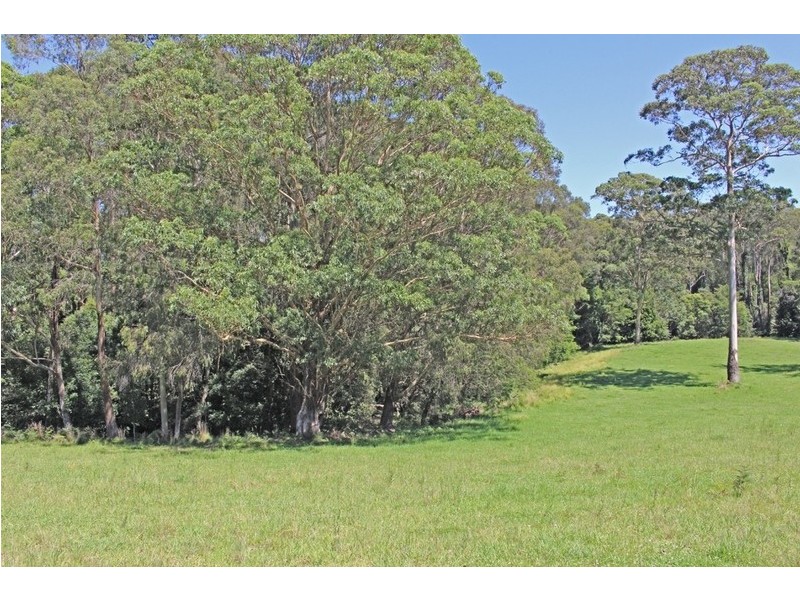 F2466 Princes Highway, Cockwhy NSW 2539