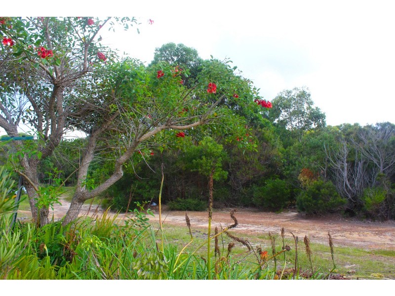 78/385 Princes Highway, Ulladulla NSW 2539