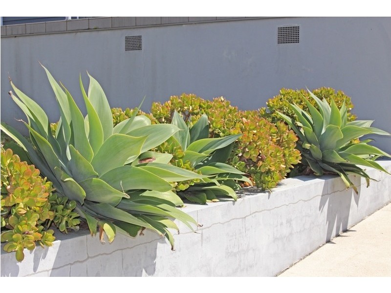 57A North Street, Ulladulla NSW 2539