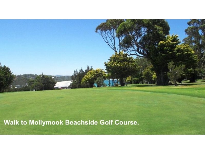 66 Seaview Street, Mollymook NSW 2539
