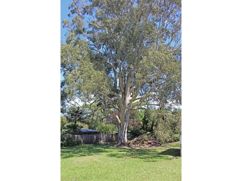 43 Church Street, Milton NSW 2538