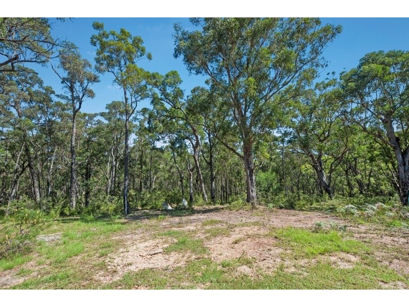 551 Donovans Creek Road, East Lynne NSW 2536