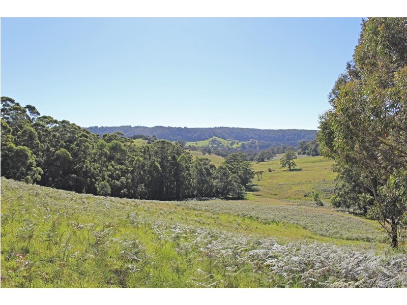 1030 Princes Highway, Conjola NSW 2539