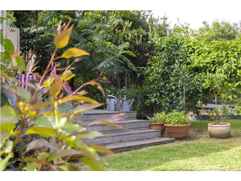 12 Surf Tide Avenue, Bawley Point NSW 2539