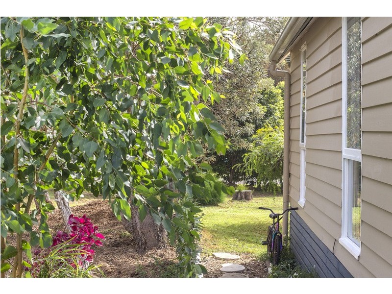 12 Surf Tide Avenue, Bawley Point NSW 2539